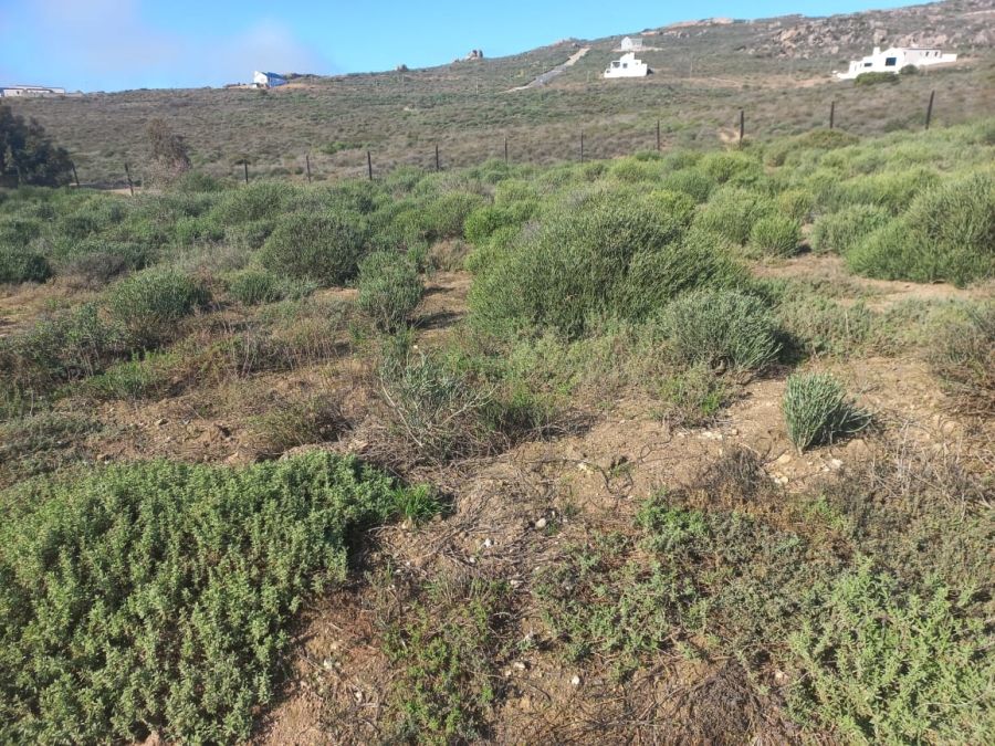 0 Bedroom Property for Sale in Steenbergs Cove Western Cape